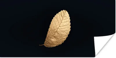 Produktbild von MuchoWow® Poster Gold - Blätter - Schwarz - Pflanzen - Luxus - Natur 40x20 cm - Poster für die Wand - Poster Schlafzimmer