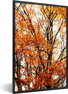Produktbild von MuchoWow® Gerahmtes Poster Wald - Herbst - Jahreszeiten 60x90 cm - Poster mit Schwarzem Bilderrahmen Wandposter Rahmen Foto Bilder - Kunst