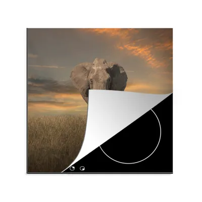 Produktbild von KitchenYeah© Herdabdeckplatte Elefant - Tiere - Gras - Natur , 78x78cm, Küche Deko, Glaskeramikkochfeld Herdabdeckung, Abdeckplatte fùr Kochfeld