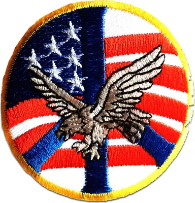 Produktbild von Usa Amerika Adler Flagge Fahne Army - Aufnäher, Bügelbild, Aufbügler, Applikationen, Patches, Flicken, Zum Aufbügeln, Größe: 7,7 x 7,7 cm