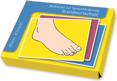 Produktbild von Bildkarten zur Sprachförderung: Grundwortschatz: Mein Körper
