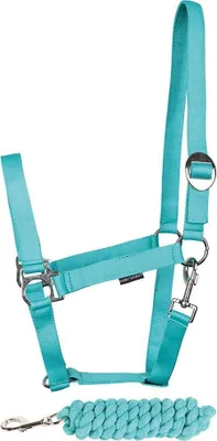 Immagine prodotto di Cavezze e guinzaglio Harry's Horse con iniziali, verde Cob verde Cob