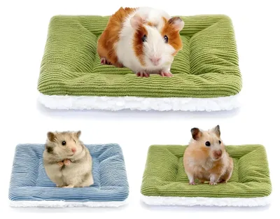 Produktbild von 2 Stück Meerschweinchenbett, Grün und Blau, Plüschbett für kleine Tiere wie Kätzchen, Kaninchen, Chinchilla, Eichhörnchen und Ratten