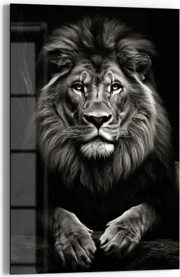 Produktbild von DEQOART Glasbild Echtglas 40x60 cm 'Majestätischer König' Wandbild Bild modern Deko