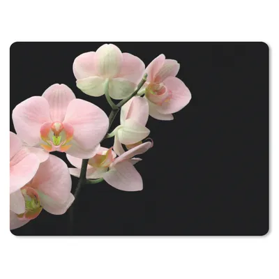 Produktbild von MuchoWow® Mauspad Mousepad Orchidee - Blumen - Rosa - Stilleben - Flora 23x19 cm - Mousepads - Maus Mat - Pad - Mausunterlage - Schreibtischunterlage - Mauspad