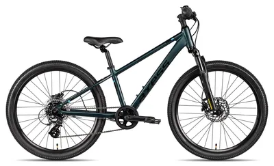 Produktbild von Axess Stipe 24 Pro 24 Zoll dunkelgrün 30 cm