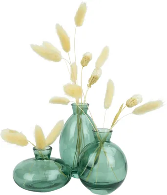 Immagine prodotto di QUVIO Vasi di vetro - Vasi piccoli - Vaso di vetro - Vaso da fiori - Set di 3