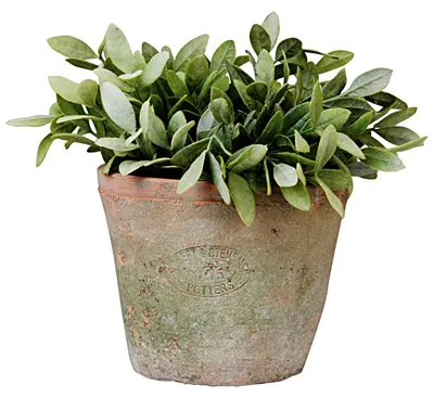 Produktbild von Esschert Design Aged Terracotta Topf rund; AT03