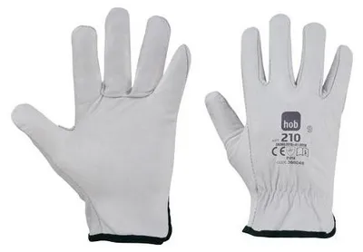 Produktbild von Rindsleder Arbeitshandschuhe Basic Größe 11 mit elastischem Handgelenkverschluss