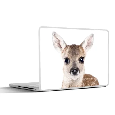 Produktbild von MuchoWow® Laptop Aufkleber Sticker Cover Hirsche - Tiere - Braun - Natur 30x21 cm - Sticker für Laptop - Selbstklebend