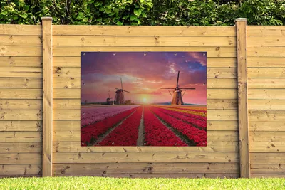 Obrázek produktu pro MuchoWow® Zahradní plakáty - Květiny - Větrný mlýn - Tulipány - Západ slunce - Růžová - 120x160 cm - Zahradní dekorace