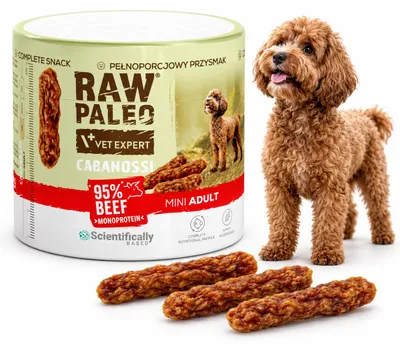 Imagen del producto de Bocadillo para perros VetExpert Raw Paleo, sabor a carne de res, tipo "kabanosy", mini, 100g