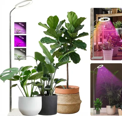 Zdjęcie produktu dla 72Leds Lampa do uprawy o regulowanej wysokości 22-155 cm, lampa roślinna LED o pełnym spektrum dla dużych roślin kwitnących w pomieszczeniach, 3 tryby, timer, 10 jasności