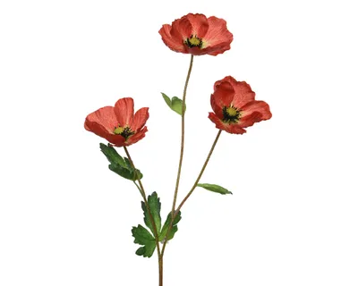 Produktbild von Kunstblumen Mohn mit Stiel 71cm rot