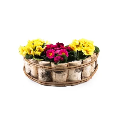 Zdjęcie produktu dla Drewniane pudełko brzozowe 40 cm