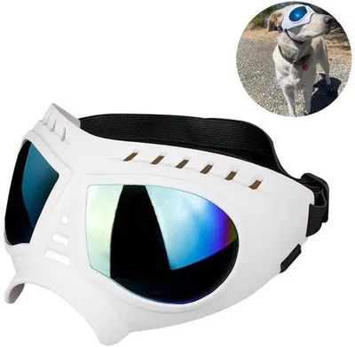 Produktbild von Große Sonnenbrille für große Hunde, wasserdicht und winddicht, Schutz für große Hunde.