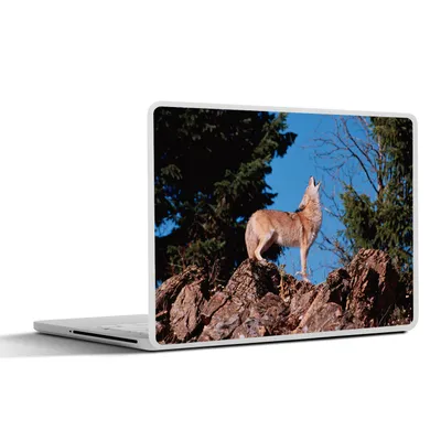 Produktbild von MuchoWow® Laptop Aufkleber Sticker Cover Wolf - Stein - Braun 30x22 cm - Laptop-Sticker