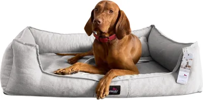 Produktbild von tierlando® Orthopädisches Hundebett SCARLETT >> inkl. Matratzenschoner << - Größe: 90x75cm | Farbe: 43 Hellgrau