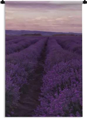 Produktbild von MuchoWow® Wandteppich Wandbehang Lavendel - Lila - Blumen - Natur 90x135 cm Tapisserie Dekoration Wandtuch - Baumwolle - Wandskulptur