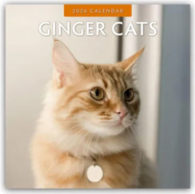 Produktbild von Ginger Cats 2026 Square Wall Calendar