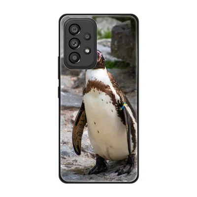 Produktbild von König Design Hülle kompatibel mit Samsung Galaxy A53 5G Kunststoff Soft Handyhülle - Handy Case Pinguin