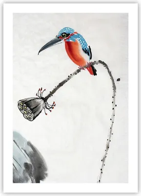 Produktbild von Poster - Poster ohne Rahmen - Libelle Vogel Blume - 50x70 cm - Wand Bild - Wanddeko - Wandbilder - Kunstposter - Wandposter - Bilder - Kunstdruck - Wanddekoration - Wandbild - P2XPA50x70-4361