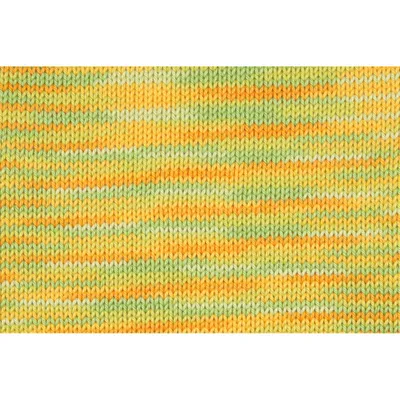 Immagine prodotto di Filato per maglieria Schachenmayr Catania Color 00238