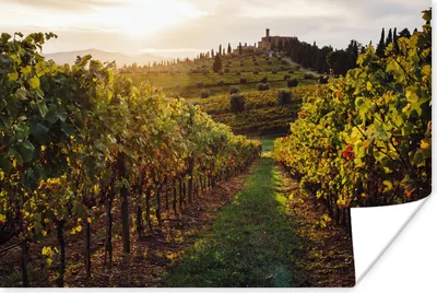 Produktbild von MuchoWow® Poster Toskana - Landschaft - Weinberge 180x120 cm - Fotoplakat