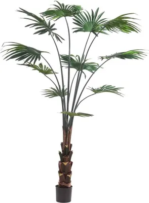 Produktbild von artplants.de Kunst Rundblättrige Schirmpalme Sirrah, grün, 180cm - Künstliche Palme