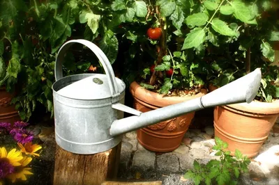 Produktbild von Verzinkte Gießkanne für den Garten, Blumen-Gießkanne, Kanne als Blumengießer