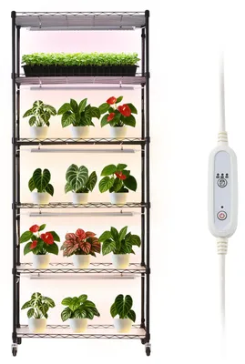Zdjęcie produktu dla Okno Vevor Do Przyczepy Gastronomicznej 1346X838Mm Obrotowe 4 Okna