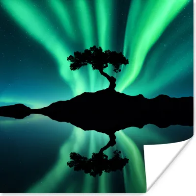 Produktbild von MuchoWow® Poster Nordlicht - Silhouette - Baum 75x75 cm - Wand Dekoration
