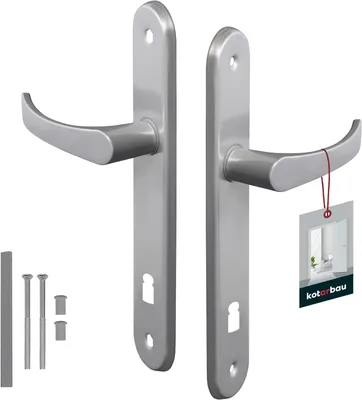 A pair of silver door handles with their mounting hardware.