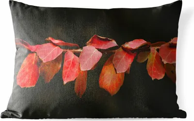 Produktbild von MuchoWow® Outdoor Kissen - Die roten Blätter auf schwarzem Hintergrund - 60x40 cm - Wetterfest - Lounge Kissen - Zierkissen - Kissen für Innenräume