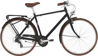 Produktbild von ANITAbyAlpina Cityfahrrad FREETIME 28 Zoll Man, schwarz