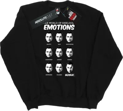 Produktbild von The Big Bang Theory - Sweatshirt für Herren BI744 (3XL) (Schwarz)