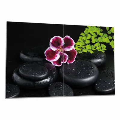 Produktbild von Wallario Herdabdeckplatte aus Glas, Größe 80 x 52 cm 2-teilig, Motiv Geranienblüte auf schwarzen Steinen, benetzt mit Wassertropfen