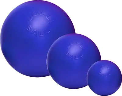 Obrázek produktu pro Veselá hračka pro psy Push-n-Play modrá, velikost: L