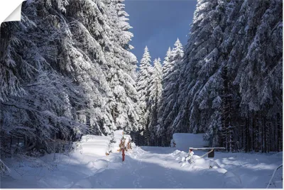 Produktbild von ARTland Poster Winter im Thüringer Wald II Größe: 60x40 cm