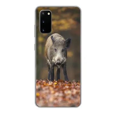 Produktbild von MuchoWow® Handyhülle Schutzhülle Hülle für Samsung Galaxy S20 Wildtier - Wald - Herbst Silikon Softcase Handy Hülle - Bild