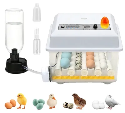 Produktbild von Eierbrüter, automatische Eierwende, Feuchtigkeitskontrolle, WEISS