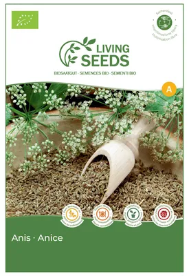 Produktbild von Anis 6.1g Saatgut von Living Seeds