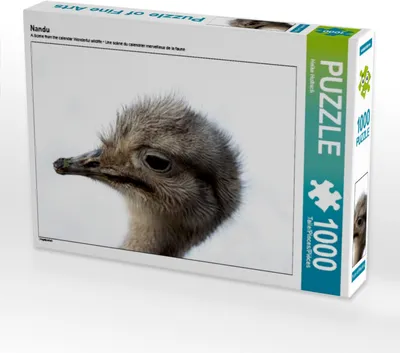 Produktbild von Calvendo Nandu 1000 Teile Puzzle quer 640x480mm, Hultsch Heike; 7286243