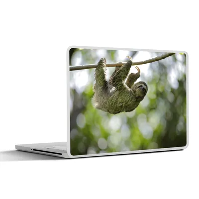 Produktbild von MuchoWow® Laptop Aufkleber Sticker Cover Ein Faultier hängt in den Bäumen 36.5x27.5 cm - Laptop-Sticker