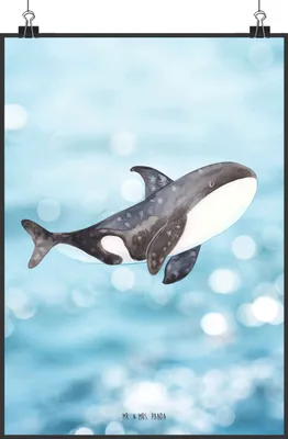 Produktbild von Mr. & Mrs. Panda Bild Orca DIN A1 - Oceanblue - Geschenk, Büro, Meer, Orcas, Posterdruck, drucke, wanddeko, Motivation, Wal, Wanddekoration, Plakat, Arbeit