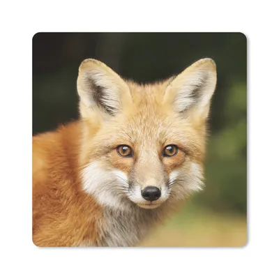 Produktbild von MuchoWow® Mauspad Mousepad Fuchs - Welpe - Porträt 20x20 cm - Mousepads - Maus Mat - Pad - Mausunterlage - Desk Mat - Bureauartikeln