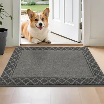 Immagine prodotto di Tappetino per interni - Assorbe lo sporco e lavabile - Grigio - 60 x 90 cm