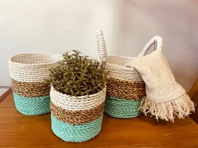 Imagen del producto de Juego de cestas de algas marinas - Verde/Natural/Blanco