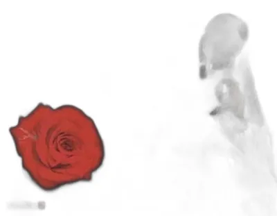 Immagine prodotto di Tango polacco d'anteguerra