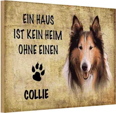 Produktbild von vianmo Holzschild 20x30 cm Collie Hund Tier Haustier